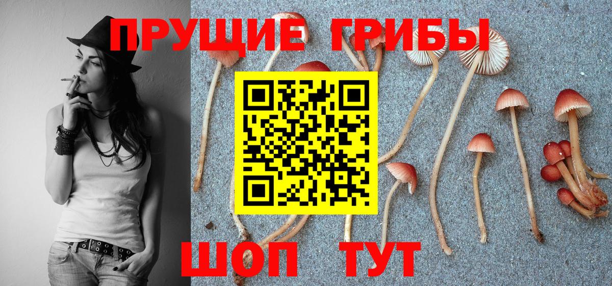 Галлюциногенные грибы мухоморы Скопин